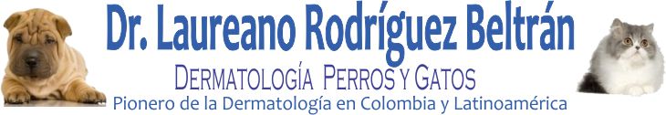 Dermatolog�a Veterinaria para perros y Gatos